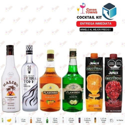 Licor Flamingo de Durazno 1 L - Cavas Towns Licor Flamingo de Durazno 1 L - Cavas Towns