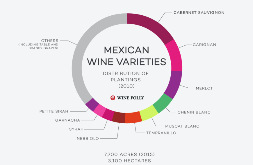 05-11-2023 - Wine industry news, opinions, reviews & more w/Ron! - Drink Towns 05-11-2023 - Wine industry news, opinions, reviews & more w/Ron! - Drink Towns