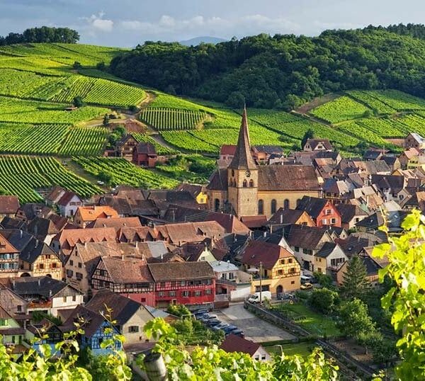 Discover the Wines of Alsace