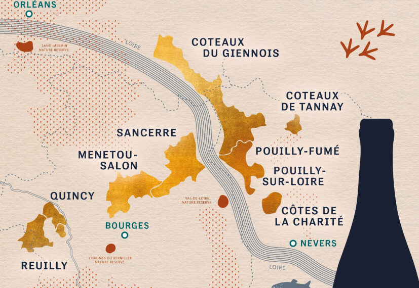 Understanding the Loire Central Vineyards